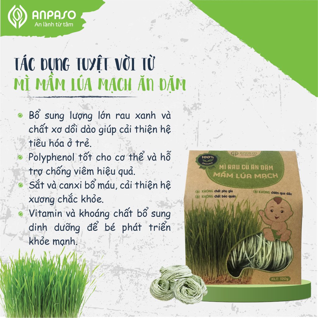 Mì Mầm Lúa Mạch Ăn Dặm 120g